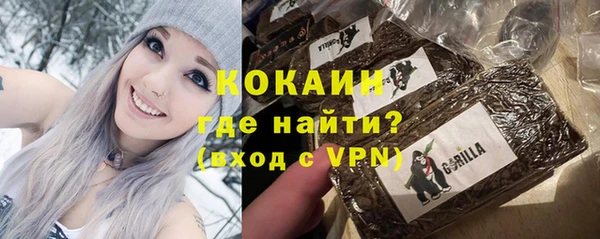 индика Абдулино