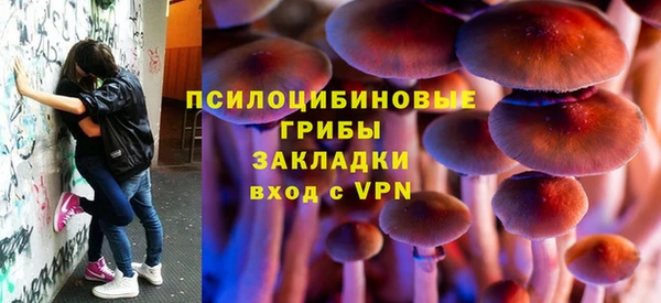 индика Абдулино
